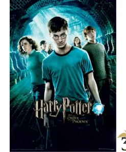 Affiche harry potter order of the phoenix 30×40