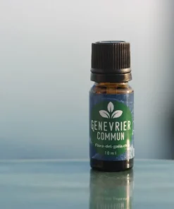 Genévrier